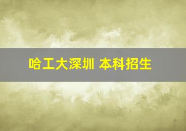 哈工大深圳 本科招生